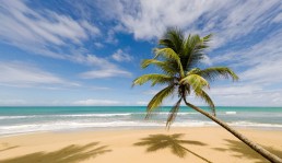 Best Beaches Samana Dominican Republic