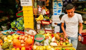 fruit-market-bogota-colombia