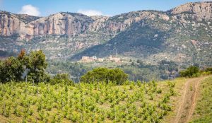 The Priorat and Montsant wine region in Tarragona