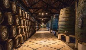 Port wine cellar in Porto