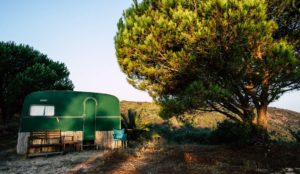 Home in a forest in the Algarve